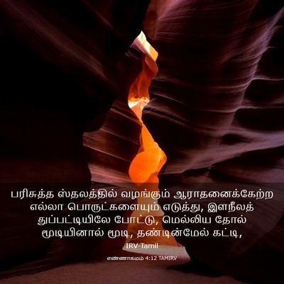 Picture 03 - எண்ணாகமம் 4:12 TAMIRV - பரிசுத்த - Bible Verse Picture