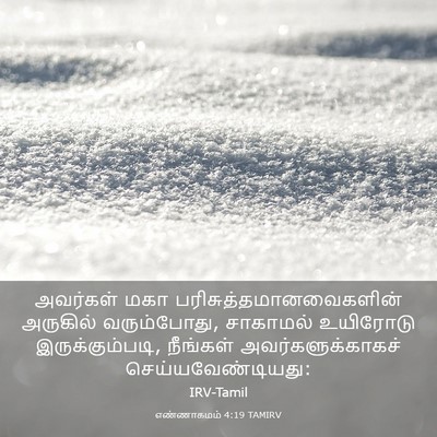 Picture 03 - எண்ணாகமம் 4:19 TAMIRV - அவர்கள் மகா - Bible Verse Picture