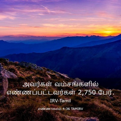 Picture 03 - எண்ணாகமம் 4:36 TAMIRV - அவர்கள் - Bible Verse Picture