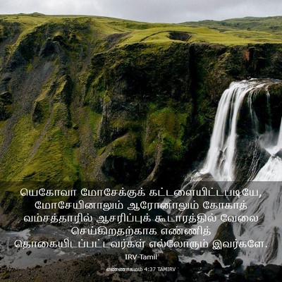 Picture 03 - எண்ணாகமம் 4:37 TAMIRV - யெகோவா மோசேக்குக் - Bible Verse Picture