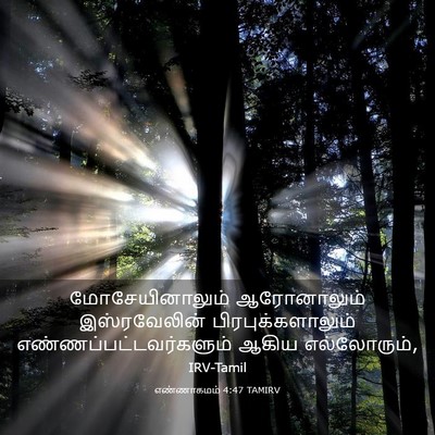 Picture 03 - எண்ணாகமம் 4:47 TAMIRV - மோசேயினாலும் - Bible Verse Picture