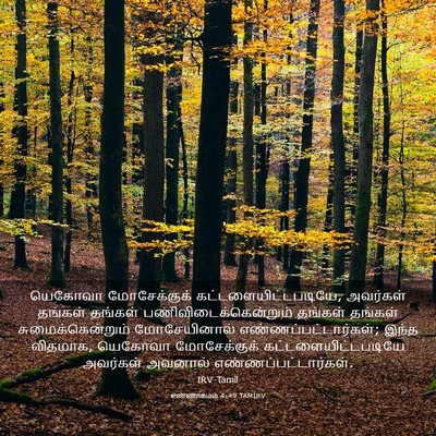 Picture 03 - எண்ணாகமம் 4:49 TAMIRV - யெகோவா மோசேக்குக் - Bible Verse Picture