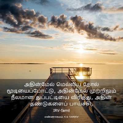 Picture 03 - எண்ணாகமம் 4:6 TAMIRV - அதின்மேல் மெல்லிய - Bible Verse Picture