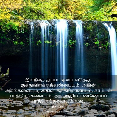Picture 03 - எண்ணாகமம் 4:9 TAMIRV - இளநீலத் - Bible Verse Picture