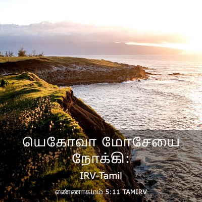 Picture 03 - எண்ணாகமம் 5:11 TAMIRV - யெகோவா மோசேயை - Bible Verse Picture