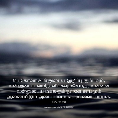 Picture 03 - எண்ணாகமம் 5:21 TAMIRV - யெகோவா உன்னுடைய - Bible Verse Picture