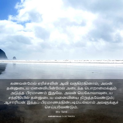 Picture 03 - எண்ணாகமம் 5:30 TAMIRV - கணவன்மேல் - Bible Verse Picture
