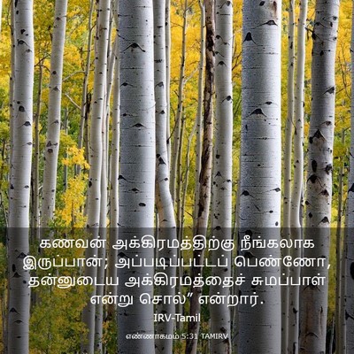 Picture 03 - எண்ணாகமம் 5:31 TAMIRV - கணவன் - Bible Verse Picture