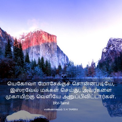 Picture 03 - எண்ணாகமம் 5:4 TAMIRV - யெகோவா மோசேக்குச் - Bible Verse Picture