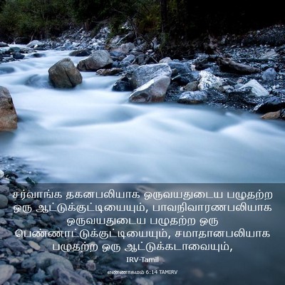 Picture 03 - எண்ணாகமம் 6:14 TAMIRV - சர்வாங்க - Bible Verse Picture