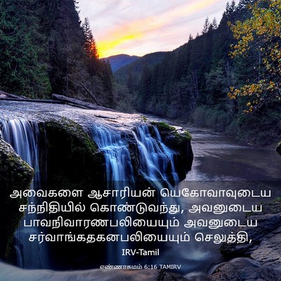Picture 03 - எண்ணாகமம் 6:16 TAMIRV - அவைகளை ஆசாரியன் - Bible Verse Picture