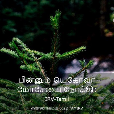 Picture 03 - எண்ணாகமம் 6:22 TAMIRV - பின்னும் யெகோவா - Bible Verse Picture
