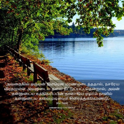 Picture 03 - எண்ணாகமம் 6:9 TAMIRV - “அவனருகில் ஒருவன் - Bible Verse Picture