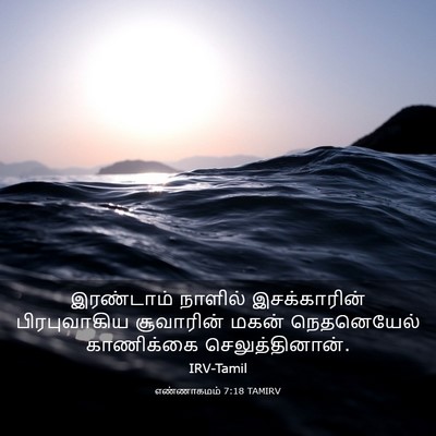 Picture 03 - எண்ணாகமம் 7:18 TAMIRV - இரண்டாம் நாளில் - Bible Verse Picture