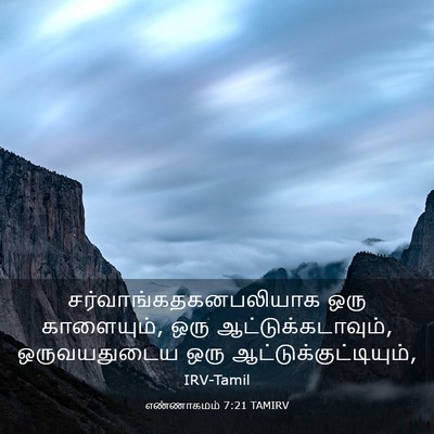 Picture 03 - எண்ணாகமம் 7:21 TAMIRV -  - Bible Verse Picture