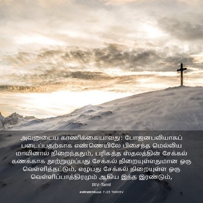 Picture 03 - எண்ணாகமம் 7:25 TAMIRV - அவனுடைய - Bible Verse Picture