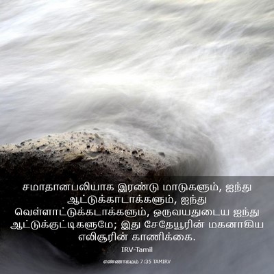 Picture 03 - எண்ணாகமம் 7:35 TAMIRV - சமாதானபலியாக - Bible Verse Picture