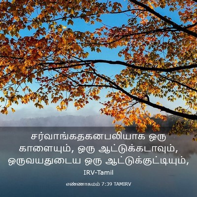 Picture 03 - எண்ணாகமம் 7:39 TAMIRV -  - Bible Verse Picture