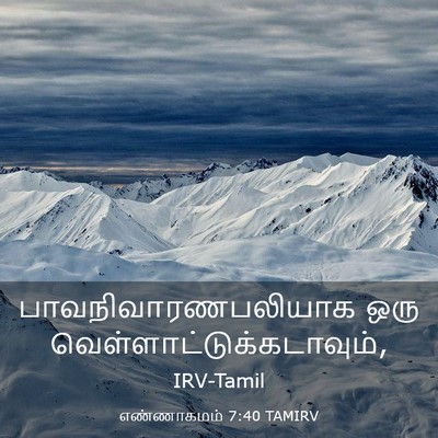 Picture 03 - எண்ணாகமம் 7:40 TAMIRV - பாவநிவாரணபலியாக - Bible Verse Picture