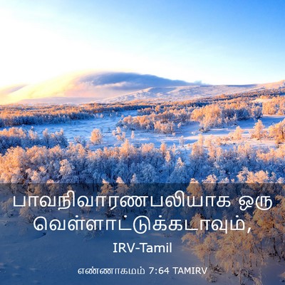 Picture 03 - எண்ணாகமம் 7:64 TAMIRV - பாவநிவாரணபலியாக - Bible Verse Picture
