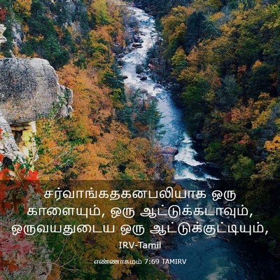 Picture 03 - எண்ணாகமம் 7:69 TAMIRV -  - Bible Verse Picture