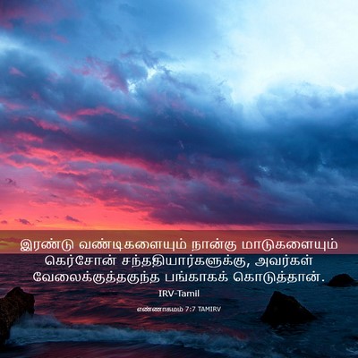 Picture 03 - எண்ணாகமம் 7:7 TAMIRV - இரண்டு - Bible Verse Picture