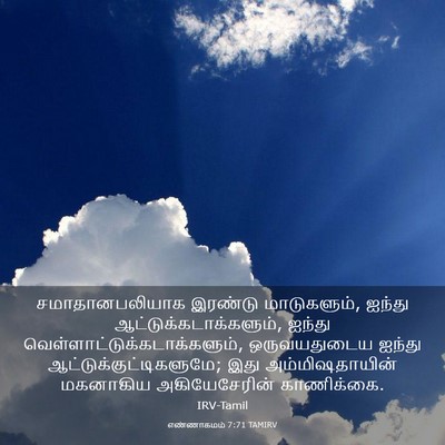 Picture 03 - எண்ணாகமம் 7:71 TAMIRV - சமாதானபலியாக - Bible Verse Picture