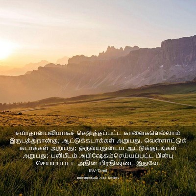 Picture 03 - எண்ணாகமம் 7:88 TAMIRV - சமாதானபலியாகச் - Bible Verse Picture