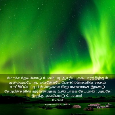 Picture 03 - எண்ணாகமம் 7:89 TAMIRV - மோசே தேவனோடு - Bible Verse Picture