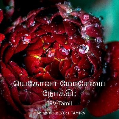 Picture 03 - எண்ணாகமம் 8:1 TAMIRV - யெகோவா மோசேயை - Bible Verse Picture