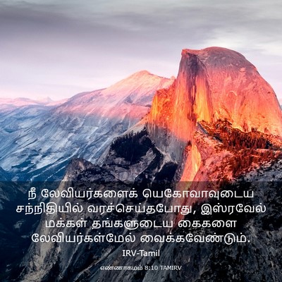 Picture 03 - எண்ணாகமம் 8:10 TAMIRV - நீ லேவியர்களைக் - Bible Verse Picture