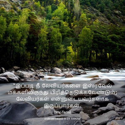 Picture 03 - எண்ணாகமம் 8:14 TAMIRV - “இப்படி நீ - Bible Verse Picture