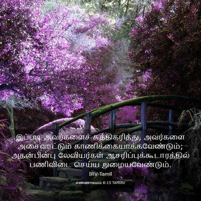 Picture 03 - எண்ணாகமம் 8:15 TAMIRV - இப்படி அவர்களைச் - Bible Verse Picture