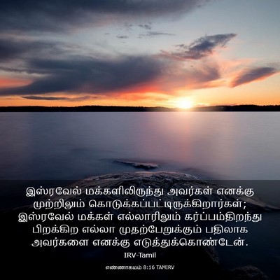 Picture 03 - எண்ணாகமம் 8:16 TAMIRV - இஸ்ரவேல் - Bible Verse Picture