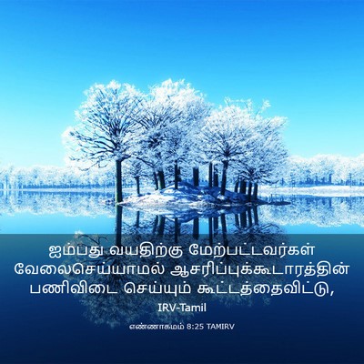 Picture 03 - எண்ணாகமம் 8:25 TAMIRV - ஐம்பது வயதிற்கு - Bible Verse Picture