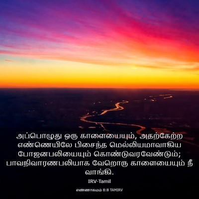 Picture 03 - எண்ணாகமம் 8:8 TAMIRV - அப்பொழுது ஒரு - Bible Verse Picture