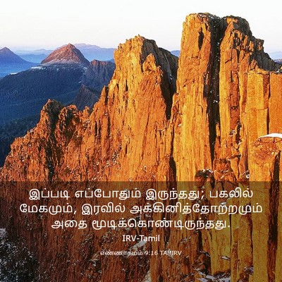 Picture 03 - எண்ணாகமம் 9:16 TAMIRV - இப்படி எப்போதும் - Bible Verse Picture