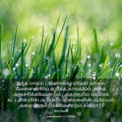 Picture 03 - எண்ணாகமம் 9:3 TAMIRV - இந்த மாதம் - Bible Verse Picture