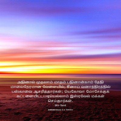 Picture 03 - எண்ணாகமம் 9:5 TAMIRV - அதினால் முதலாம் - Bible Verse Picture