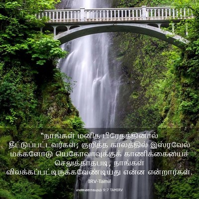 Picture 03 - எண்ணாகமம் 9:7 TAMIRV - “நாங்கள் மனித - Bible Verse Picture