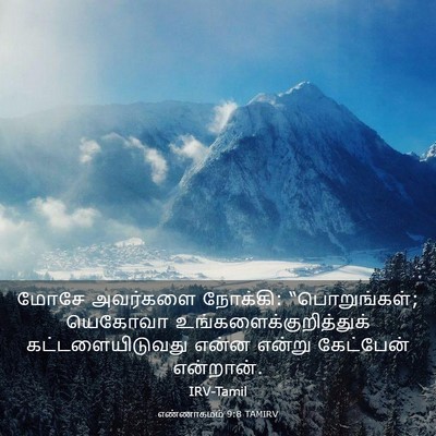Picture 03 - எண்ணாகமம் 9:8 TAMIRV - மோசே அவர்களை - Bible Verse Picture