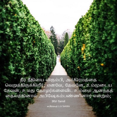 Picture 03 - எபிரெயர் 1:9 TAMIRV - நீர் நீதியை - Bible Verse Picture