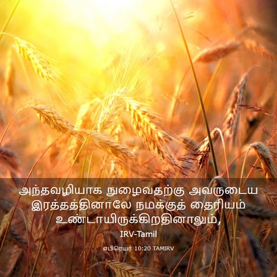 Picture 03 - எபிரெயர் 10:20 TAMIRV - அந்தவழியாக - Bible Verse Picture