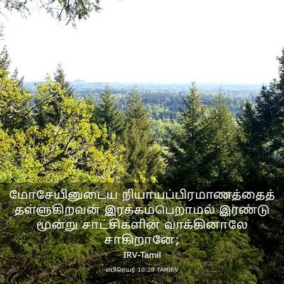 Picture 03 - எபிரெயர் 10:28 TAMIRV - மோசேயினுடைய - Bible Verse Picture