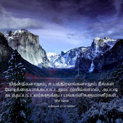 Picture 03 - எபிரெயர் 10:33 TAMIRV - நிந்தைகளாலும், - Bible Verse Picture
