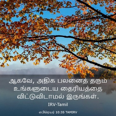 Picture 03 - எபிரெயர் 10:35 TAMIRV - ஆகவே, அதிக பலனைத் - Bible Verse Picture