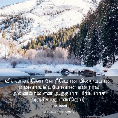 Picture 03 - எபிரெயர் 10:38 TAMIRV - விசுவாசத்தினாலே - Bible Verse Picture