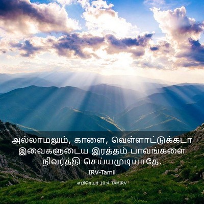 Picture 03 - எபிரெயர் 10:4 TAMIRV - அல்லாமலும், காளை, - Bible Verse Picture