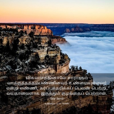 Picture 03 - எபிரெயர் 11:11 TAMIRV - விசுவாசத்தினாலே - Bible Verse Picture