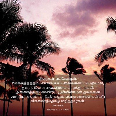 Picture 03 - எபிரெயர் 11:13 TAMIRV - இவர்கள் - Bible Verse Picture